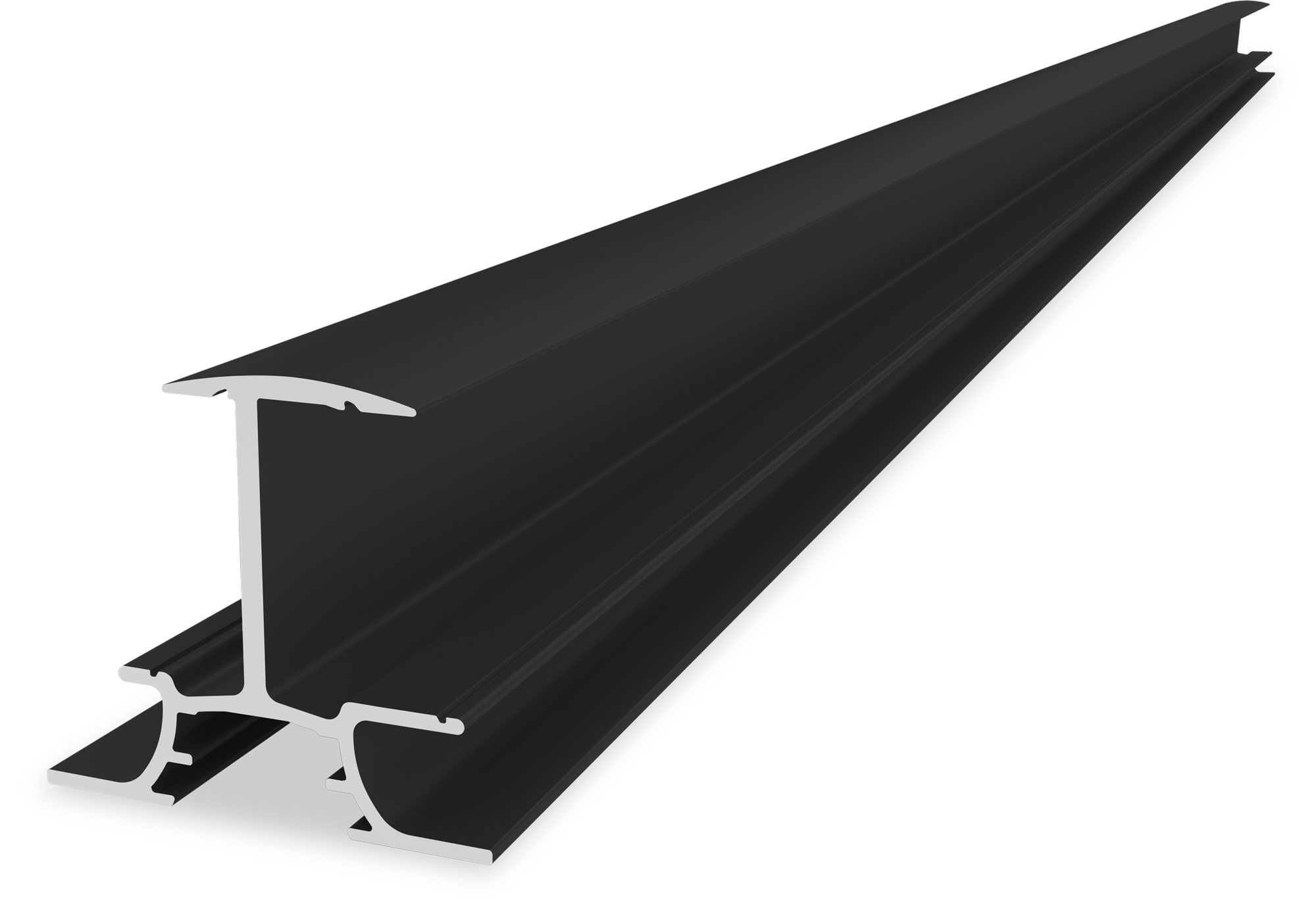 InsertionRail 2.0 - 35; 3.65 m, black anodised